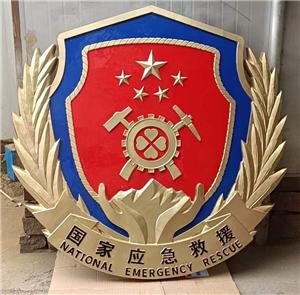 國家應(yīng)急救援徽章